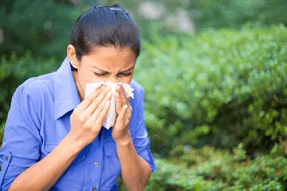 Natural Remedies for Allergy and Asthma