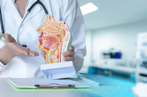 ear infection remedies